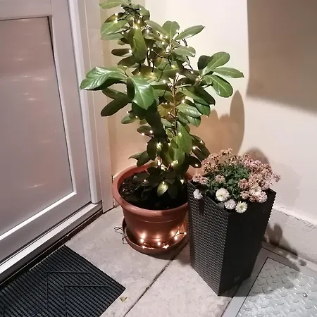 Apartment Korona *